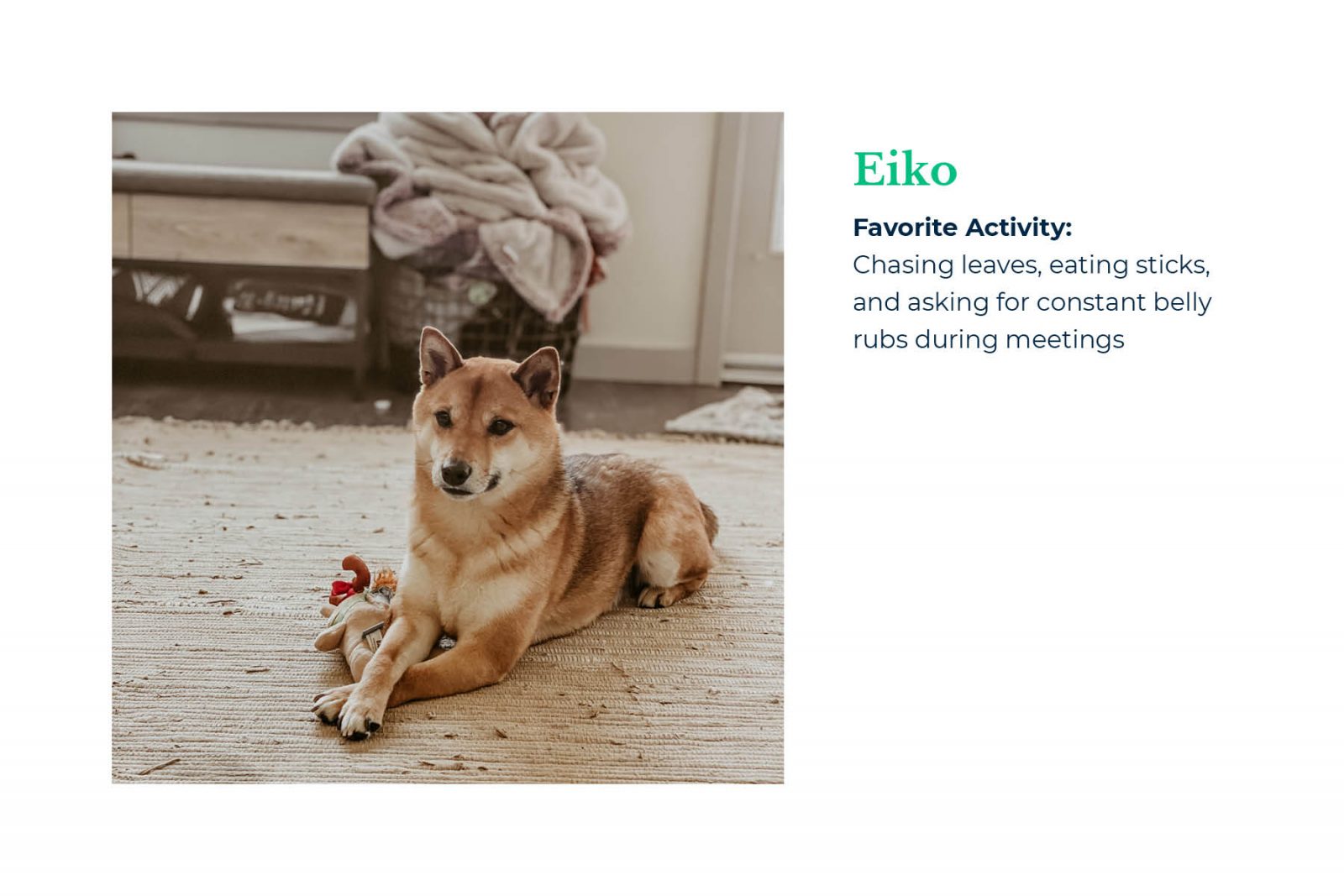 Mindset Employees: Eiko