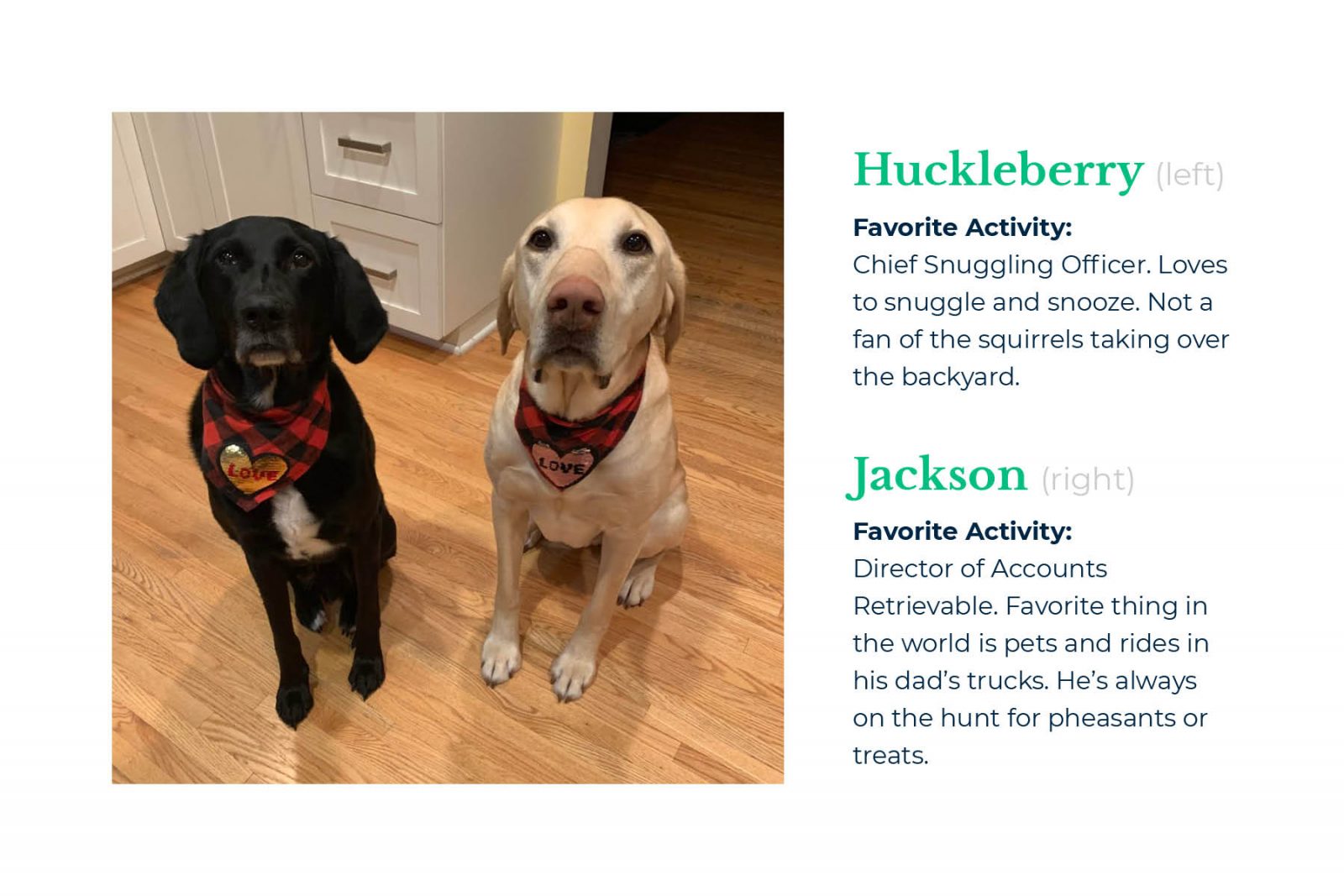 Mindset Employees: Huckleberry & Jackson