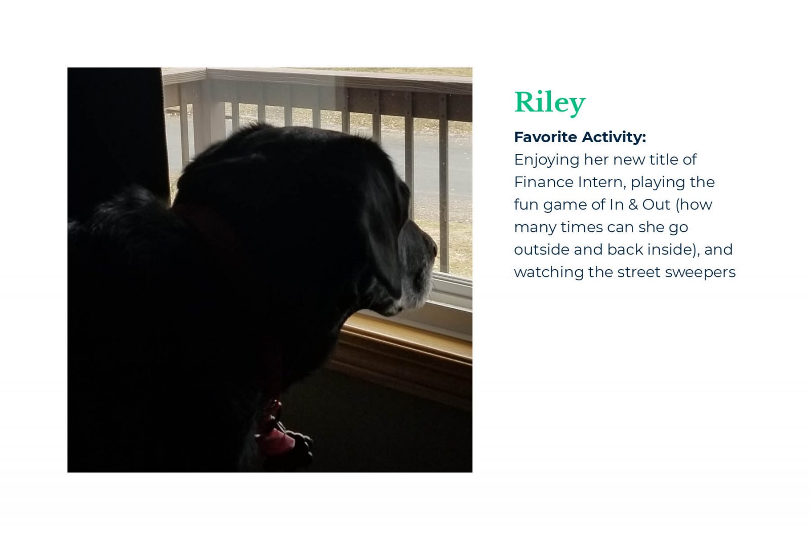Mindset Employees: Riley