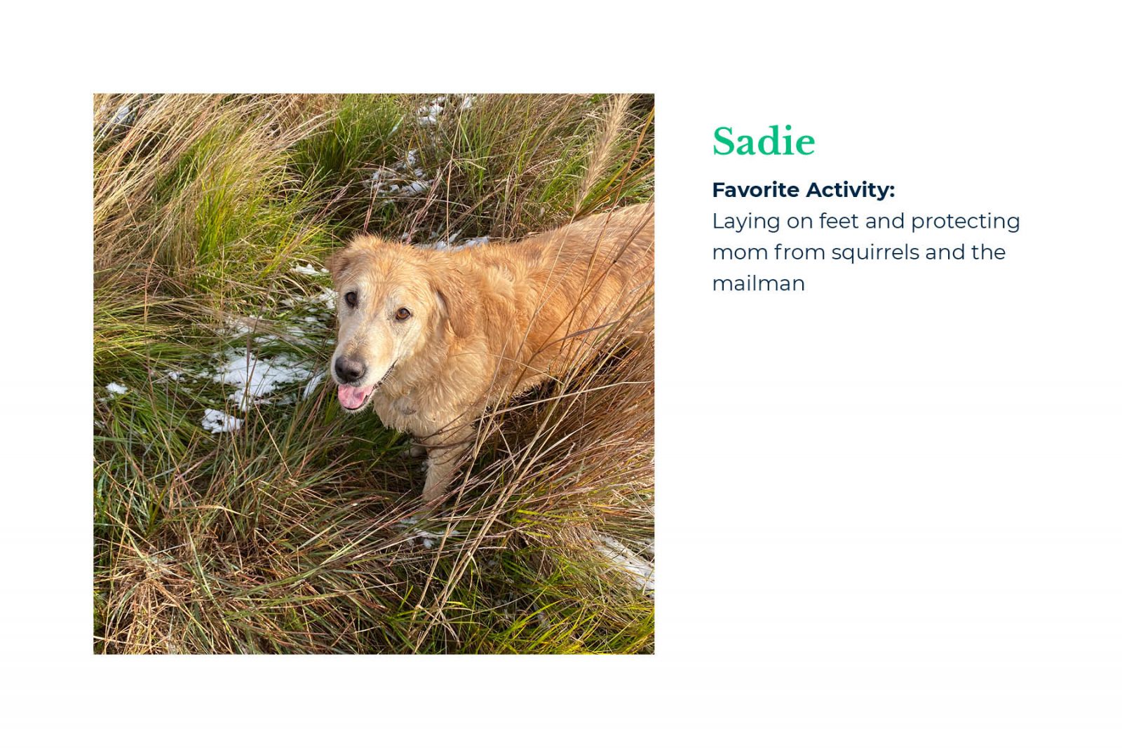 Mindset Employees: Sadie