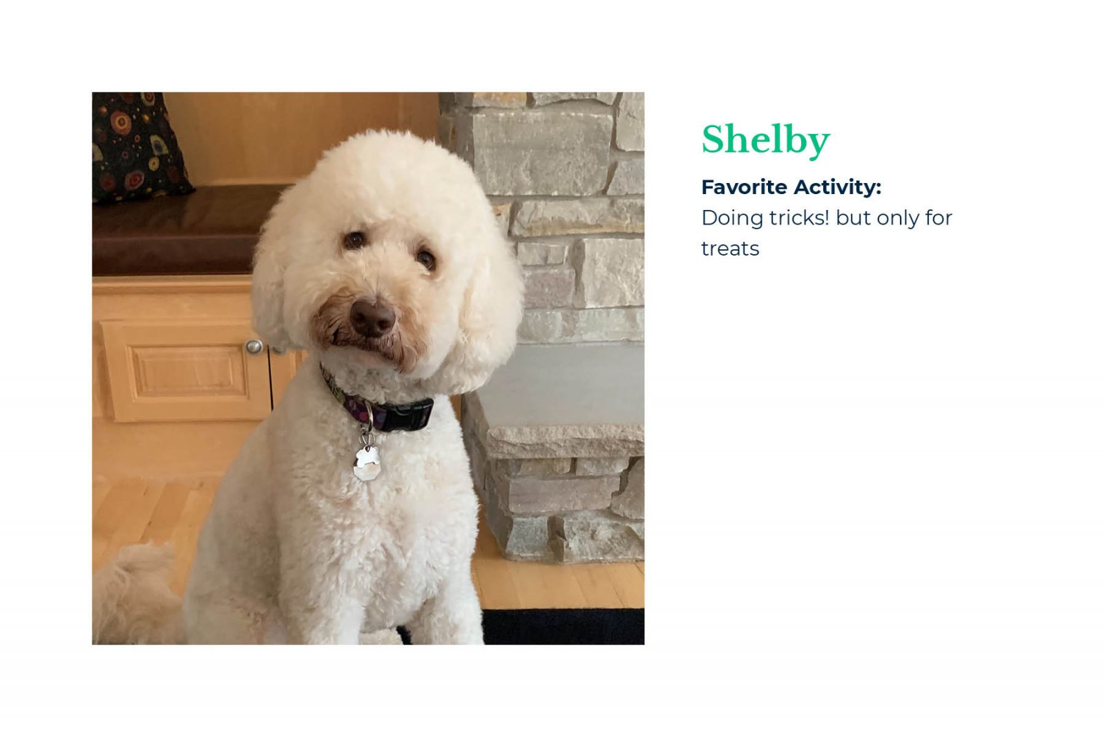 Mindset Employees: Shelby