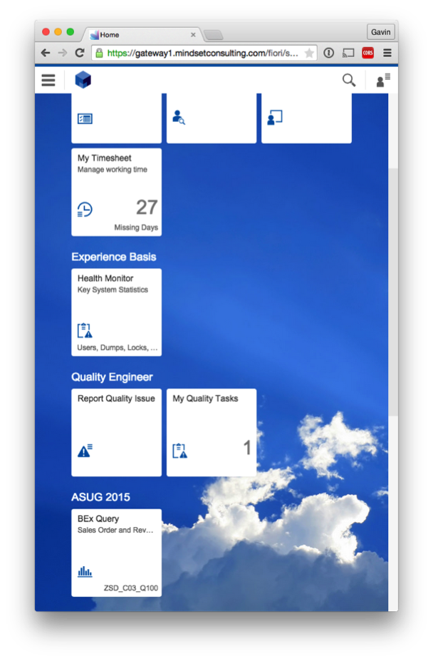 SAP Fiori App