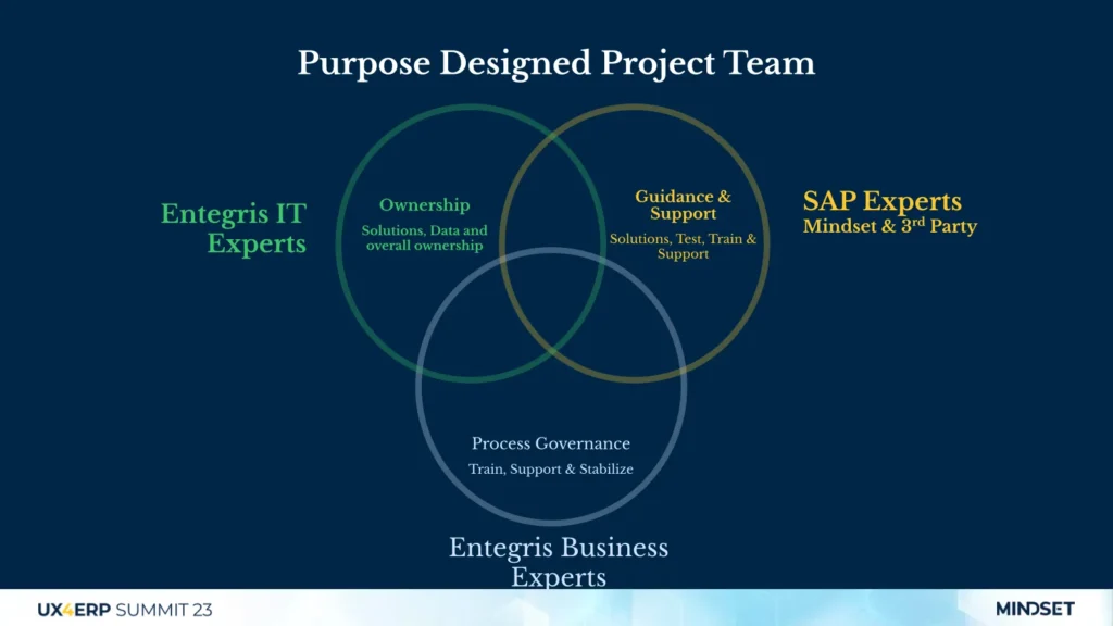 Venn diagram depicting the project team structure and overlap between Entegris IT Experts, SAP Experts, and Entegris Business Experts.