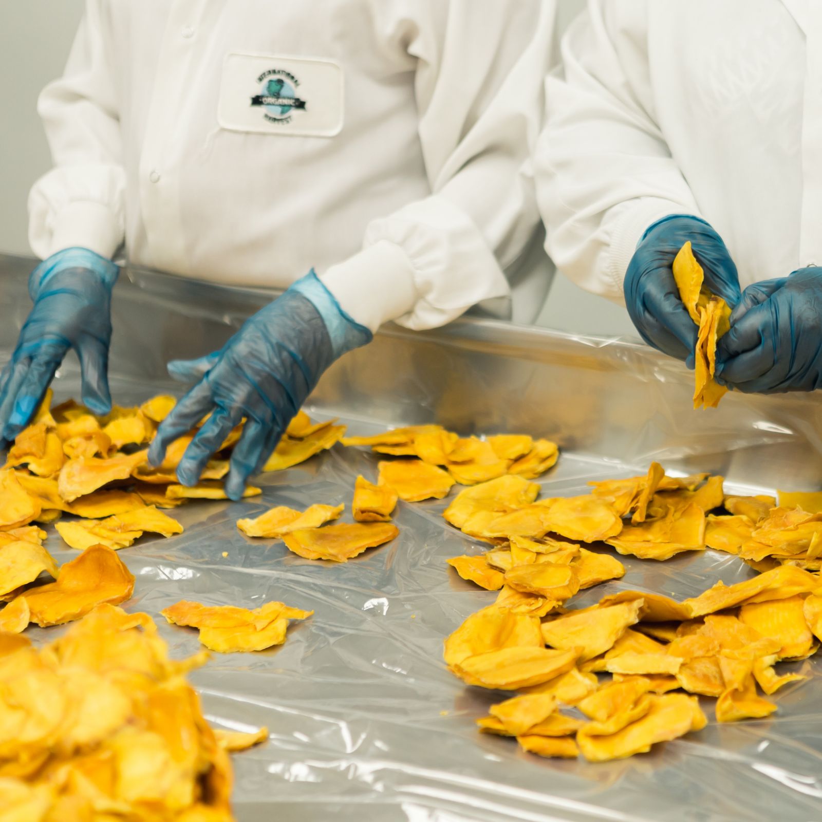 Worker sorting food at a plant