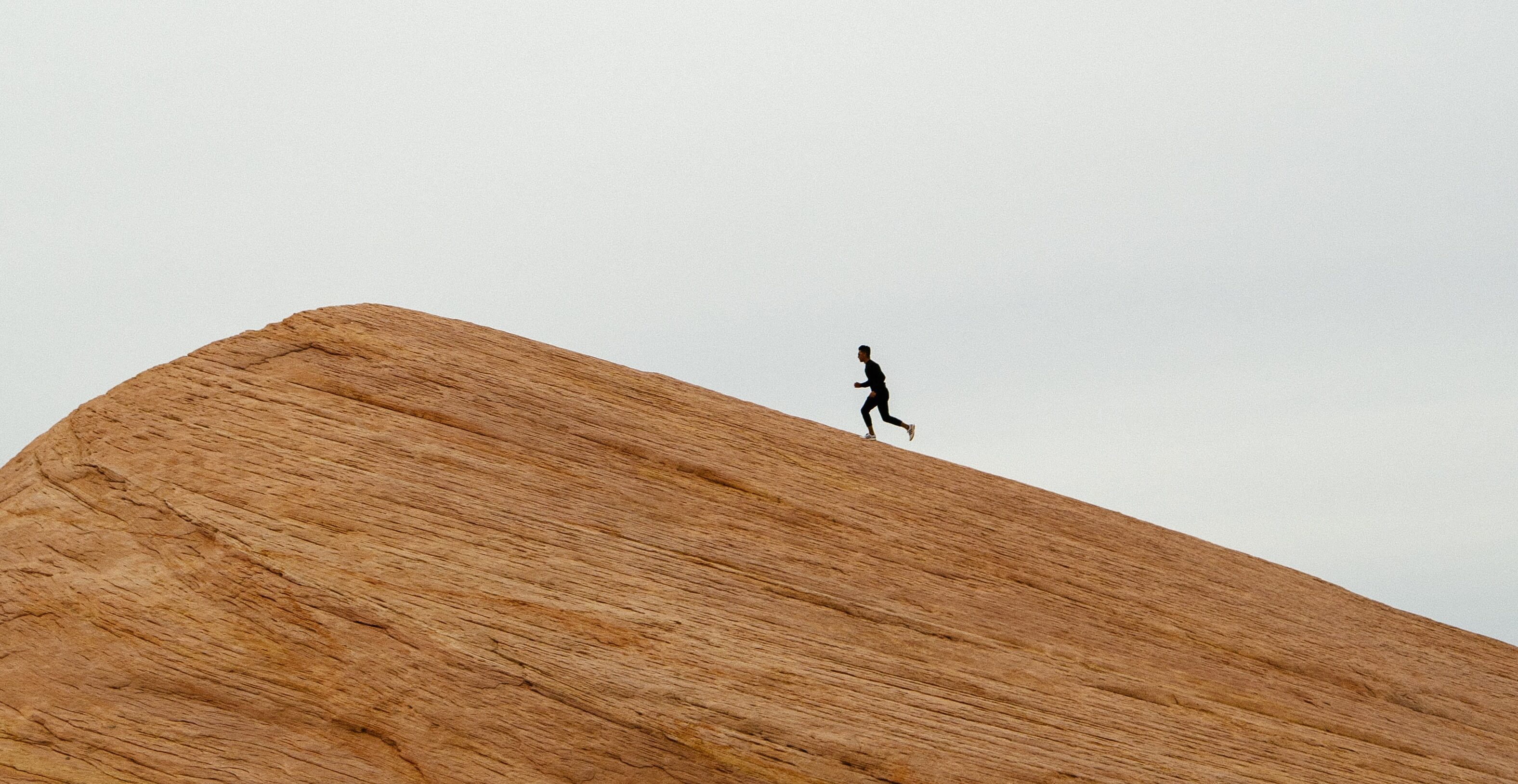 An Overview of SAP S/4HANA Embedded Analytics