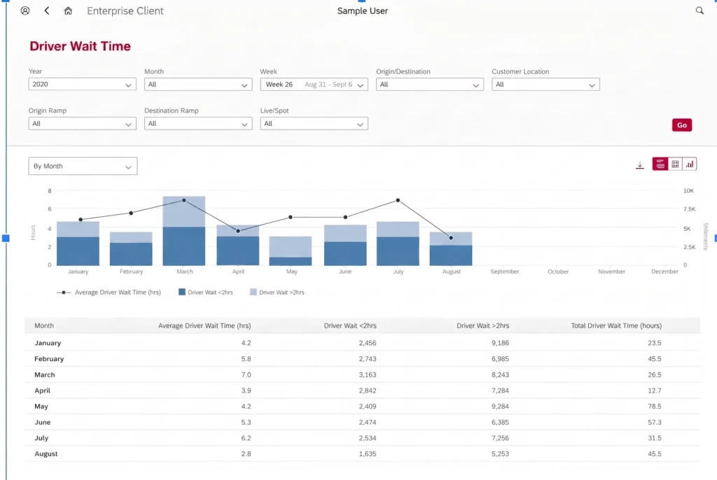 Large North American Transportation Company SAP case study
