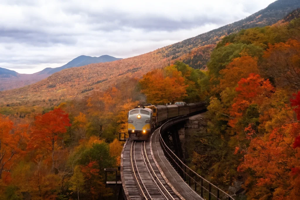 Large North American Transportation Company SAP case study