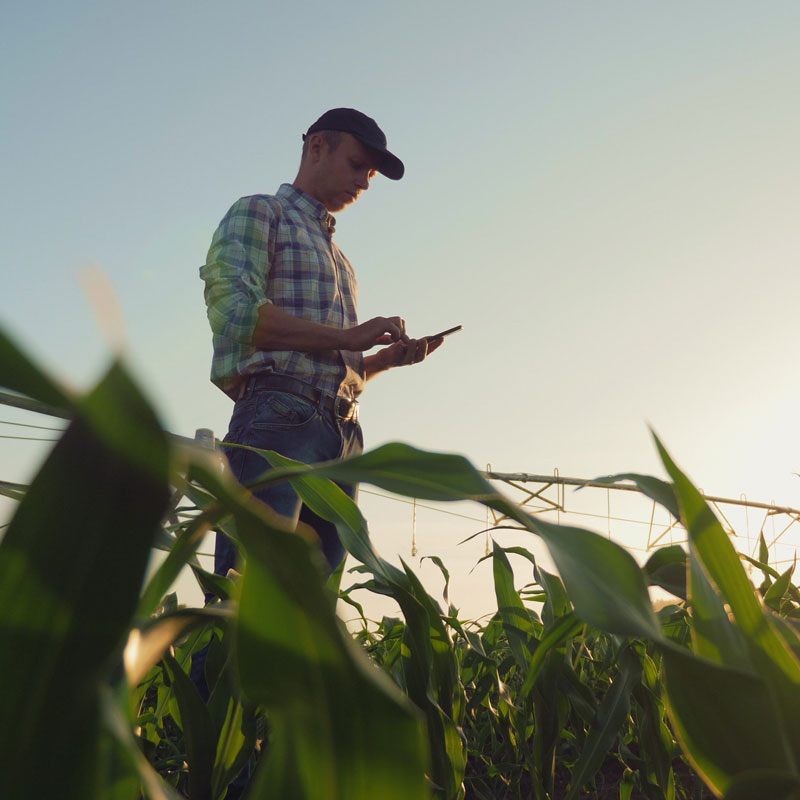 Multinational Agribusiness Corporation
