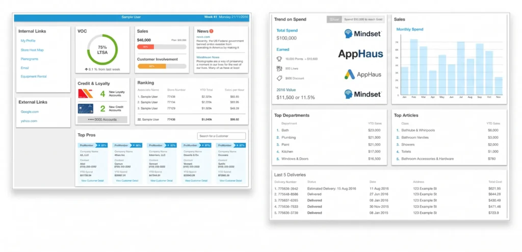 Multinational Home Improvement Retailer SAP case study