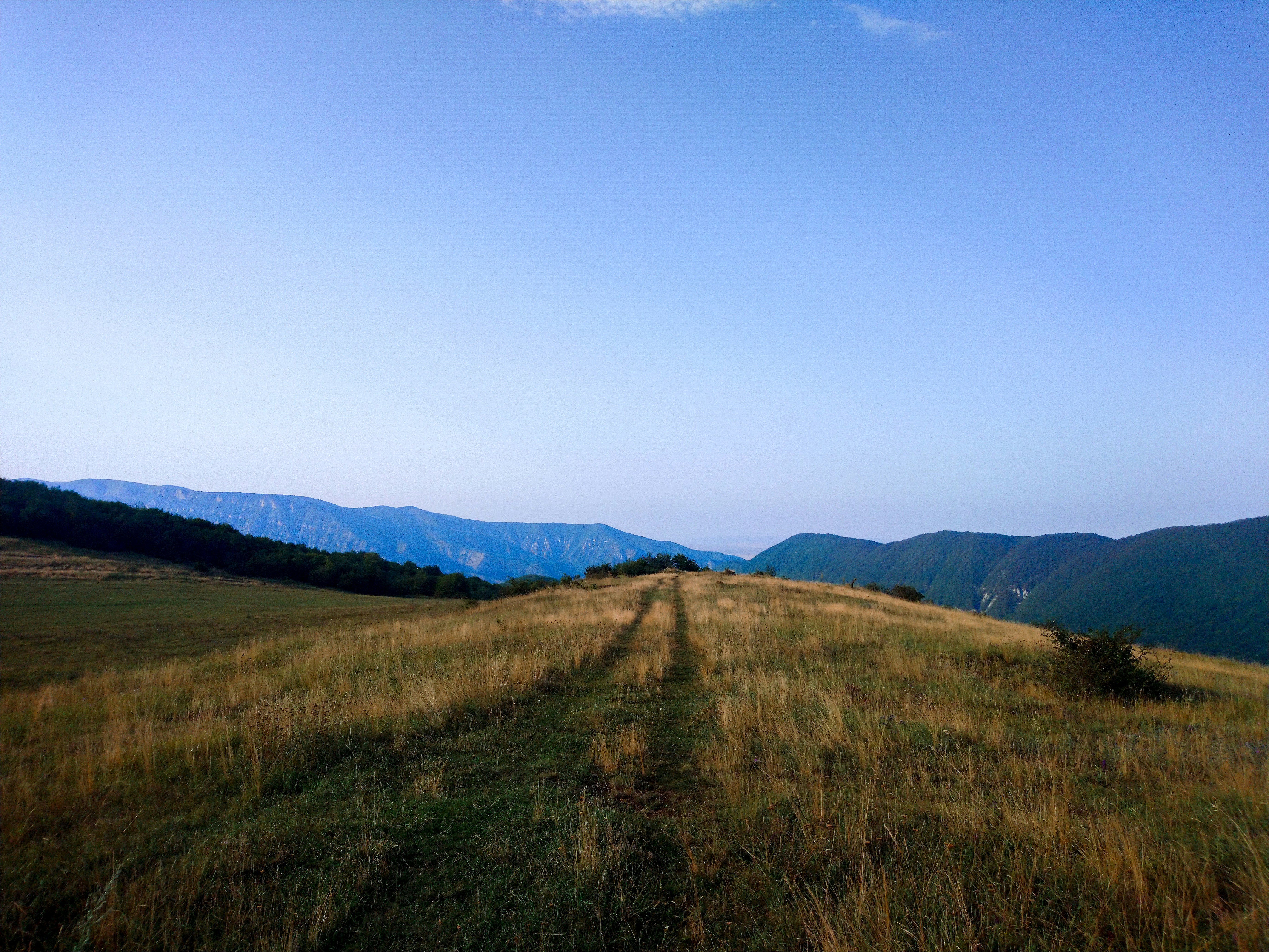 Exploring the AI Frontier: Insights from Our S/4HANA AI Roundtable
