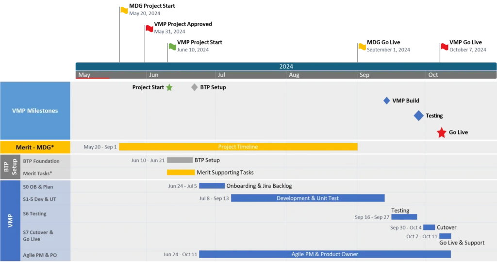 Project implementation timeline and roadmap detailing phases for MDG and VMP milestones across 2024